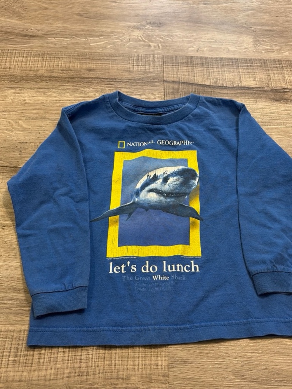 National Geographic Blue Long-Sleeve Shark Tee with Yellow Frame